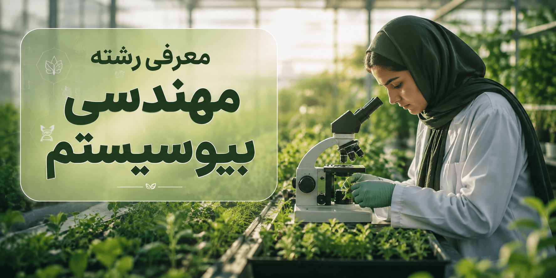 معرفی رشته مهندسی بیوسیستم؛ دانشجو در حال بررسی گیاهان و فناوریهای مهندسی کشاورزی در محیط گلخانها